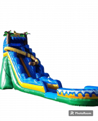 19' Jaguar Water Slide