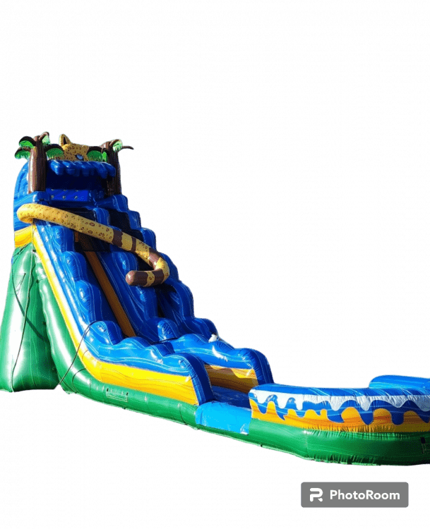 19' Jaguar Water Slide